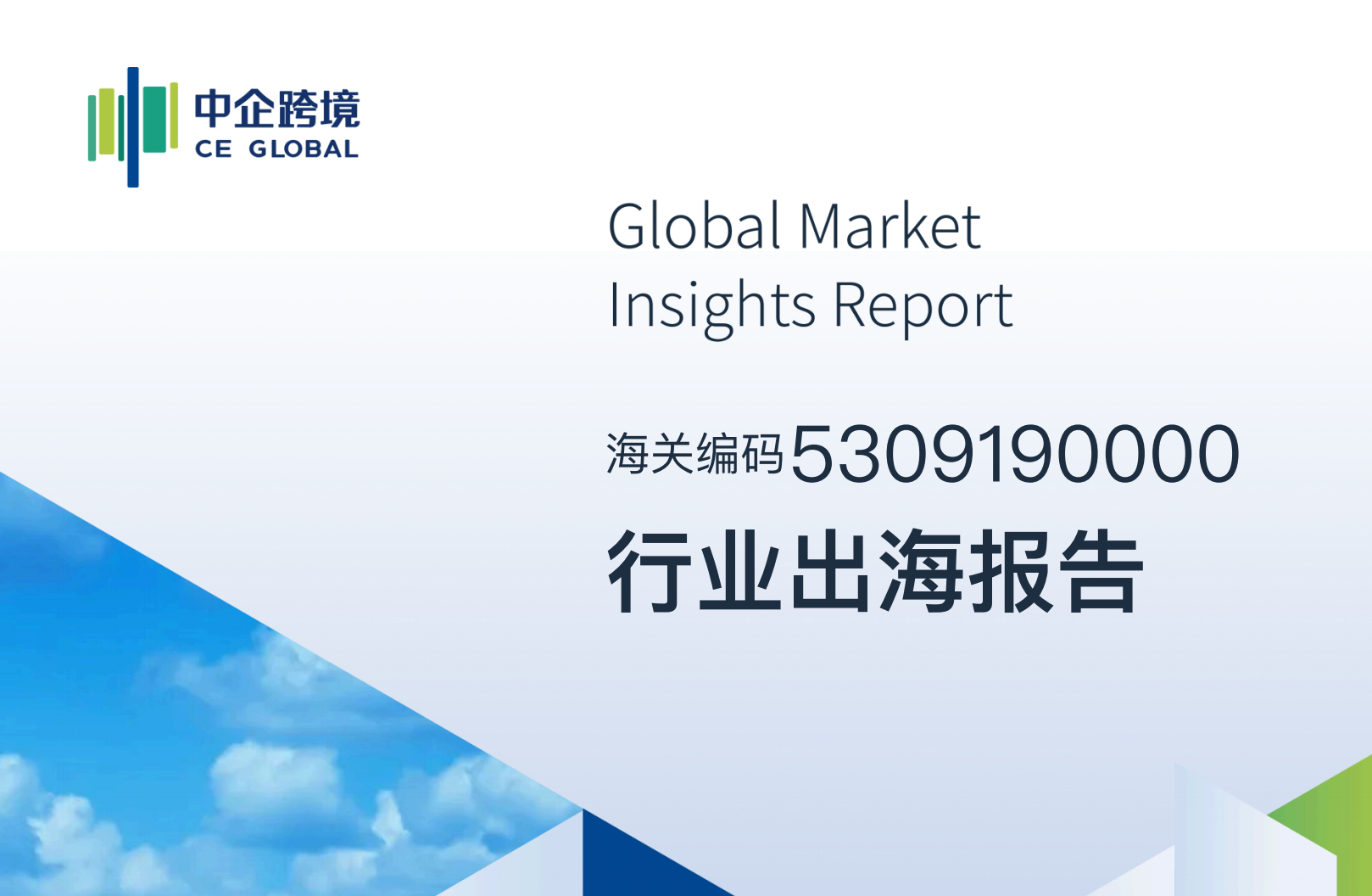 5309190000行业出海报告