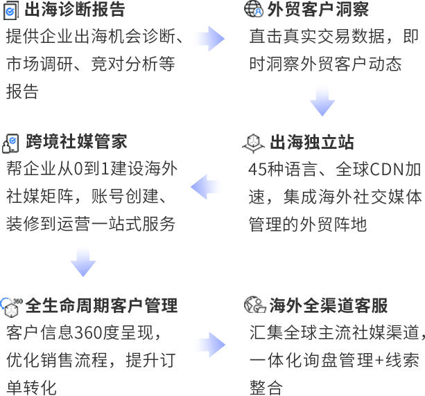 出海诊断报告 出海诊断报告